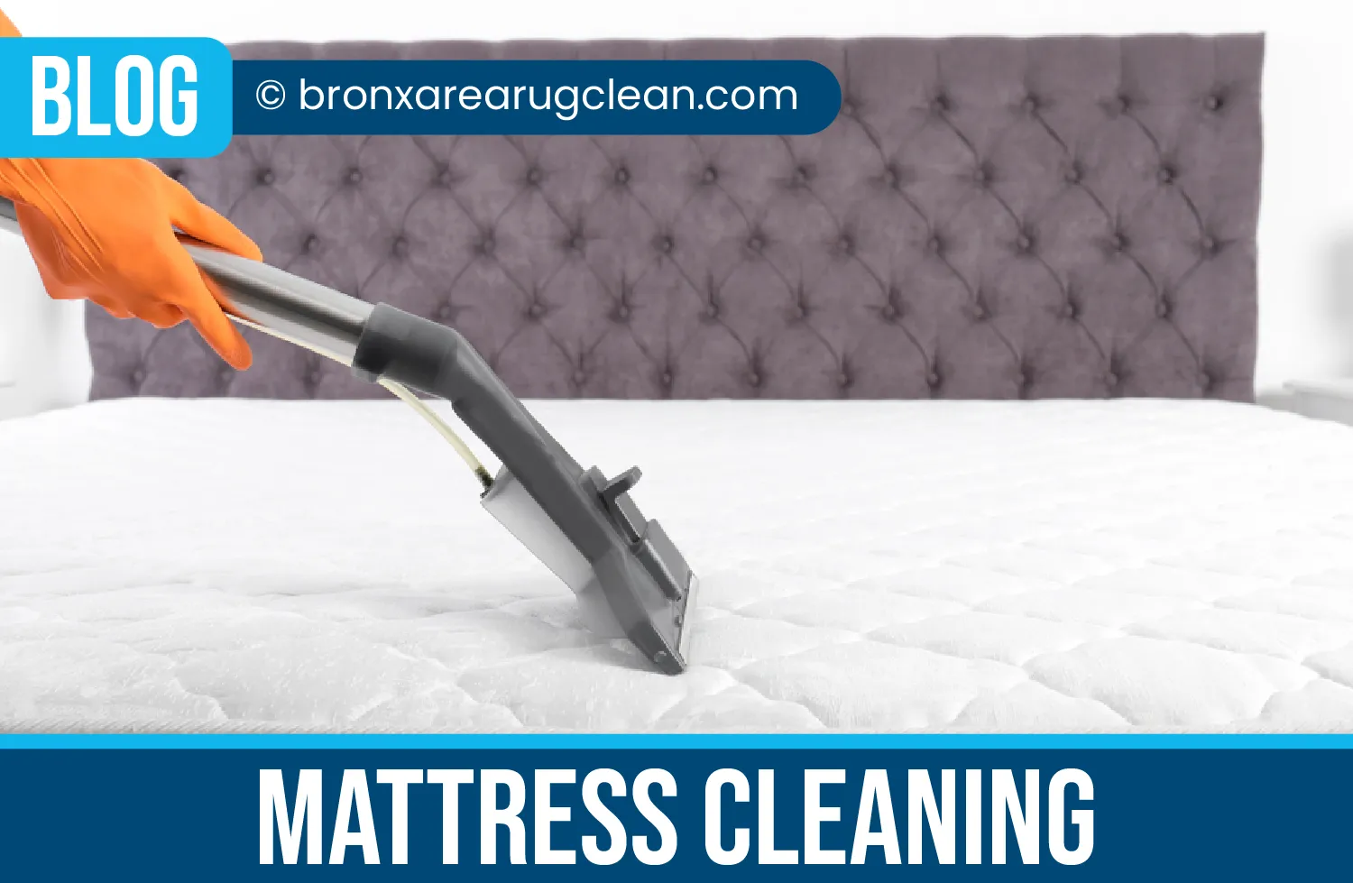 carpet cleaning in the Bronx, carpet cleaning in the Bronx, carpet cleaning the Bronx, carpet cleaners in the Bronx, carpet cleaners in the Bronx, commercial carpet cleaning, commercial carpet cleaning in the Bronx, the Bronx rug cleaners, rug cleaning services in the Bronx, same day carpet cleaning, same day rug cleaning