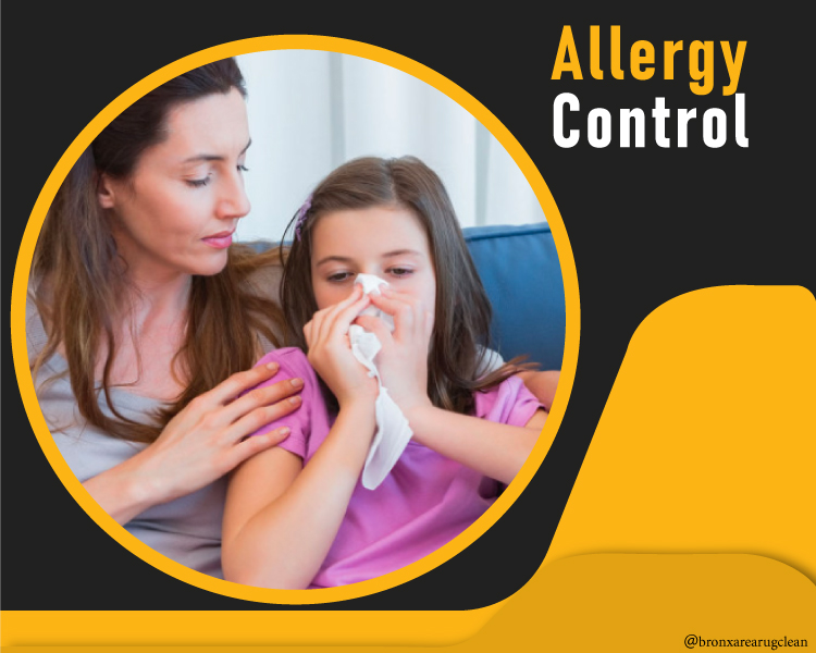 Bronx Area Rug Clean 20 off and Carpet and Rug Cleaning services in