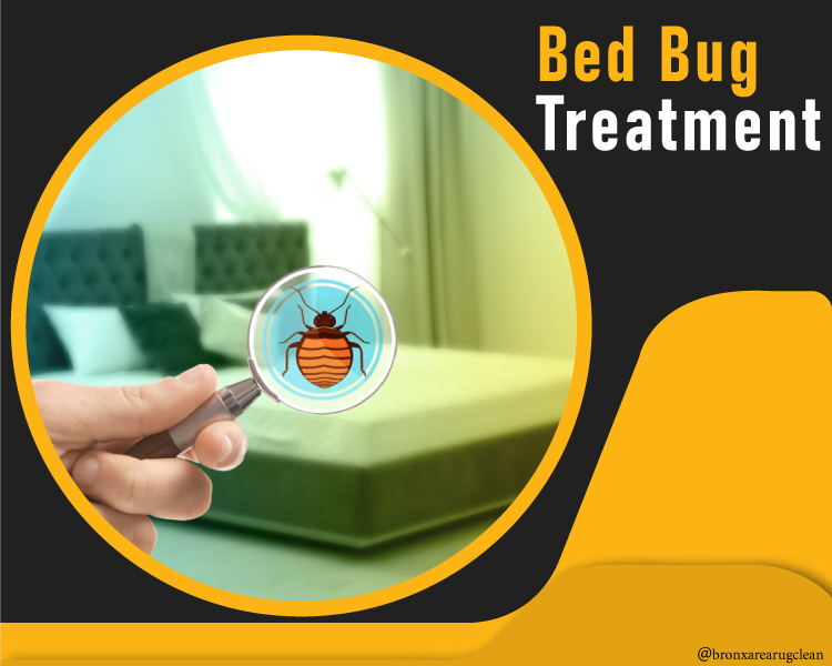 Bronx Area Rug Clean 20 off and Carpet and Rug Cleaning services in