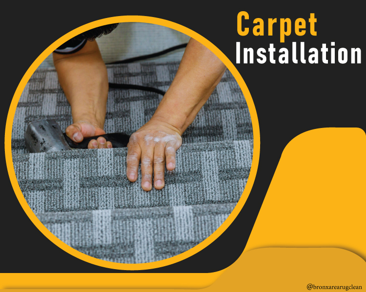 Bronx Area Rug Clean 20 off and Carpet and Rug Cleaning services in