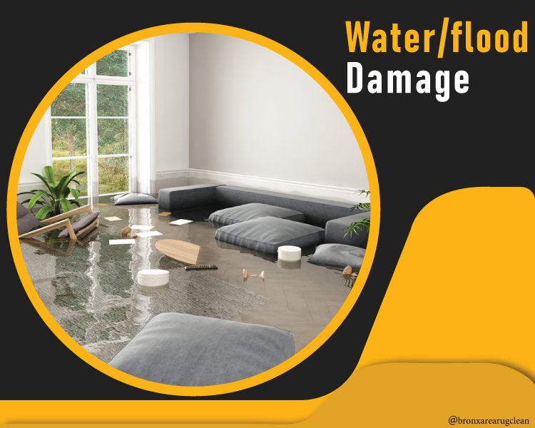 Bronx Area Rug Clean 20 off and Carpet and Rug Cleaning services in